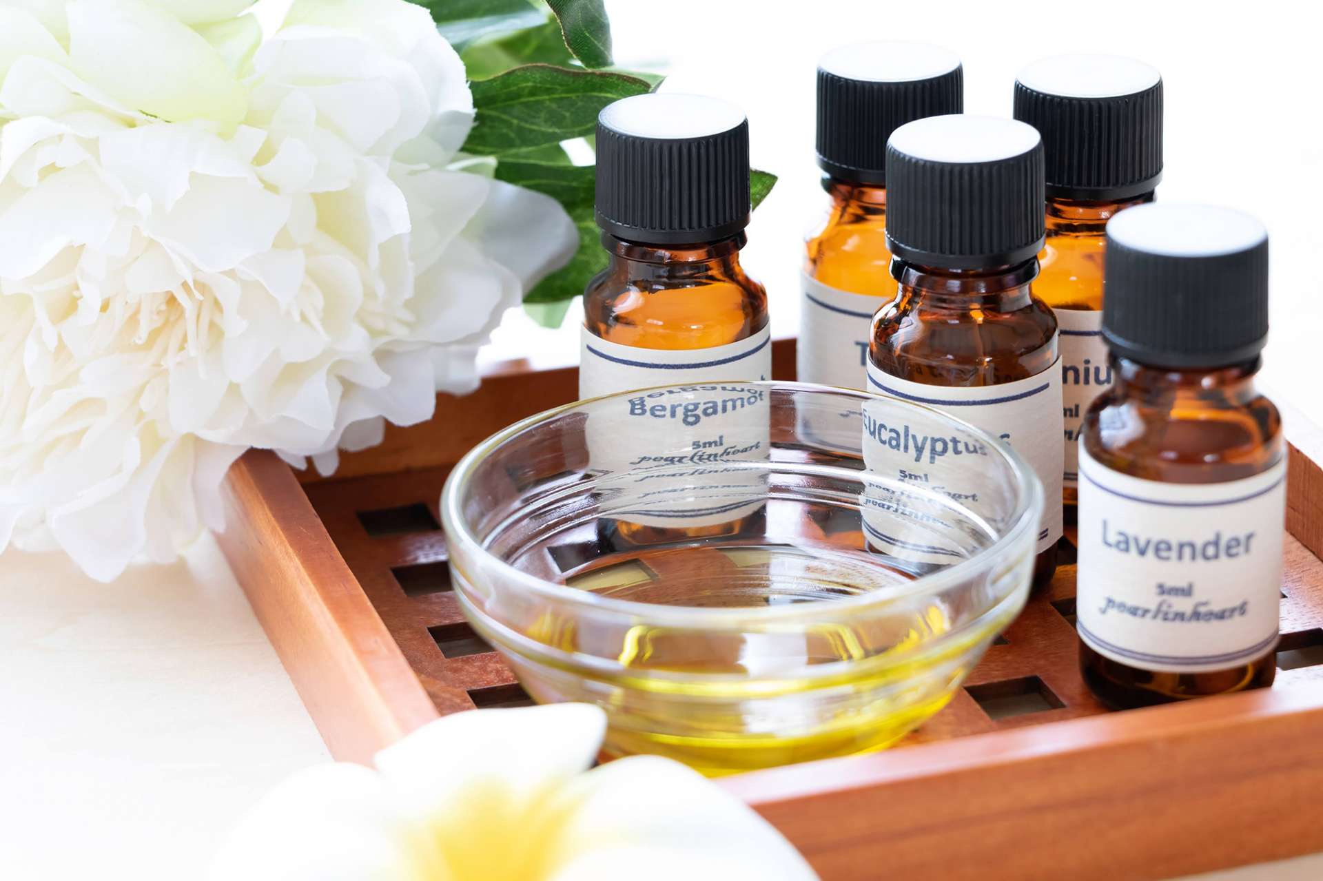 腸内環境について|名古屋市大府市の小顔調整BELLUZ(べルース)